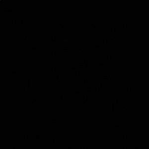 Meet your Posher, Nayeli